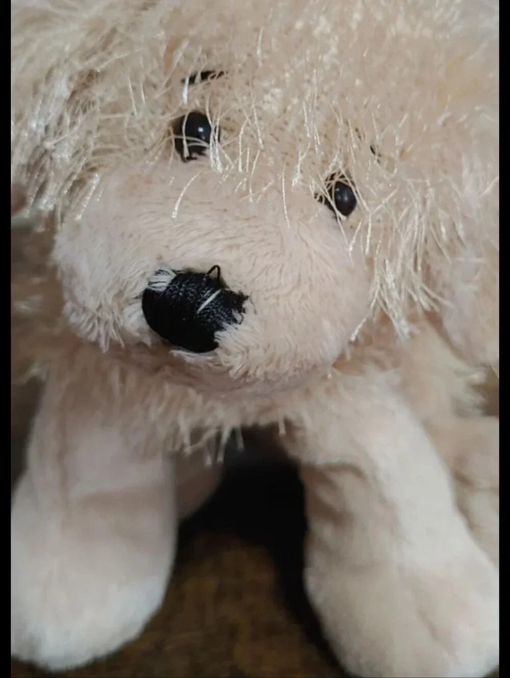 Ganz Webkinz 8